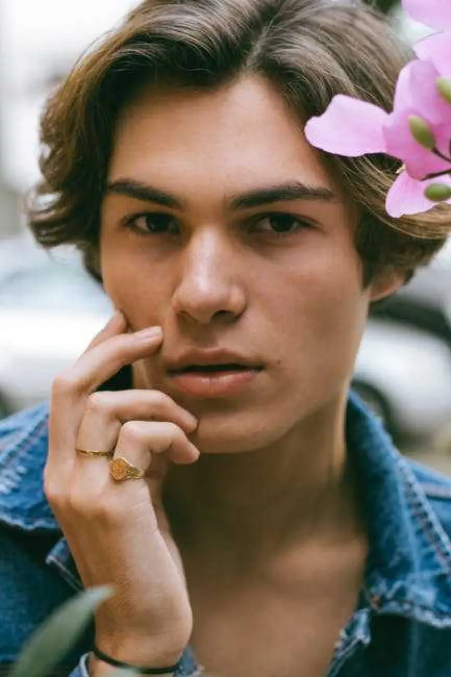 Il Trenino a base di alcolici e Trans