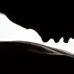 Inculata con l'amica Transex nel bagno del treno